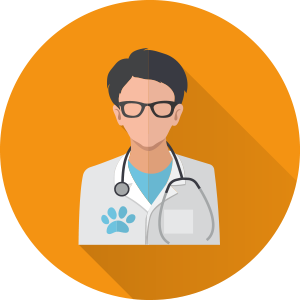 dr-house-visit