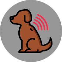 dr-microchipping