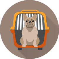 dr-pet-relocation
